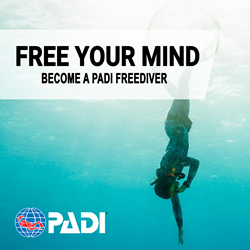 Freediver